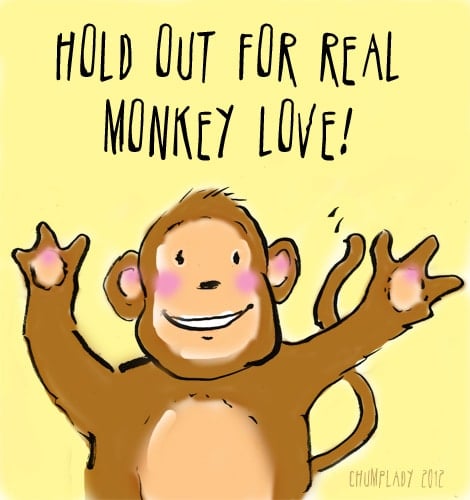 Real Monkey Love vs. Barbed Wire Monkeys
