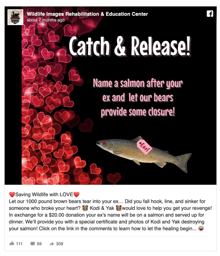 When Closure Is Eaten by Bears