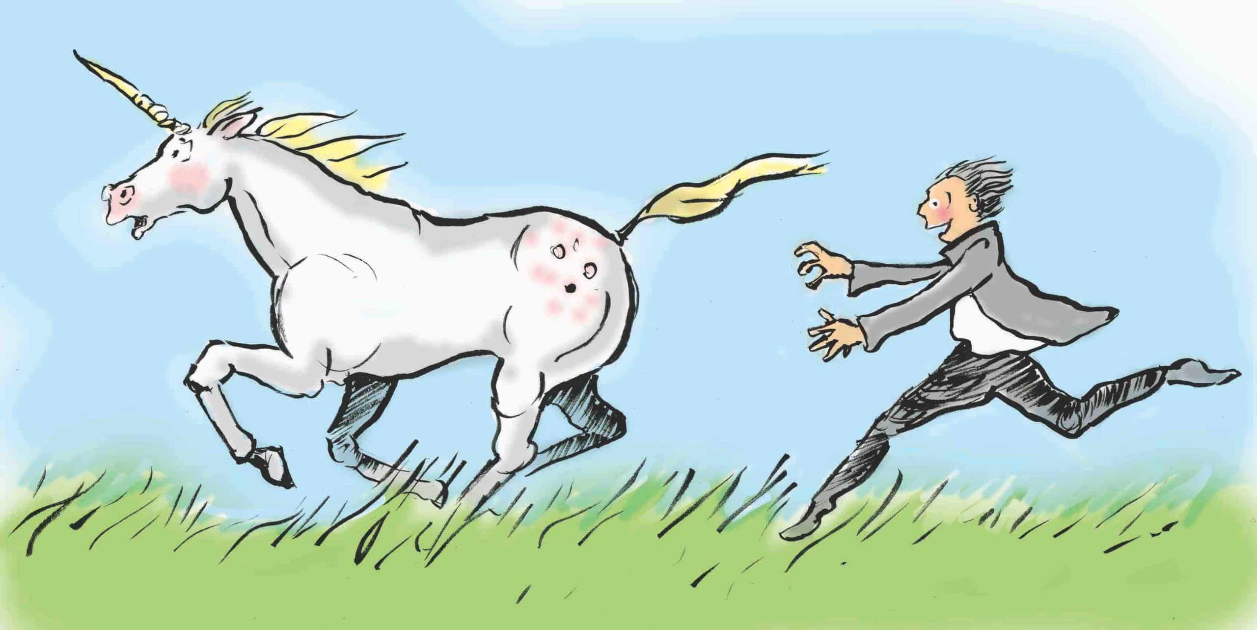 chasing unicorn