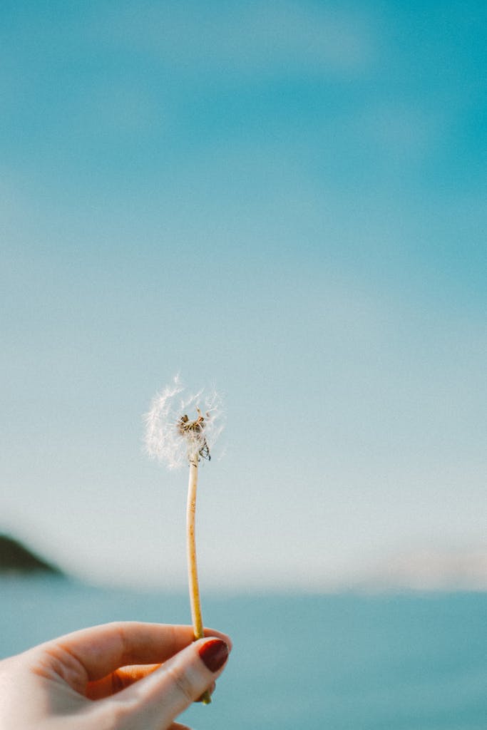 let go of dream of having a family
