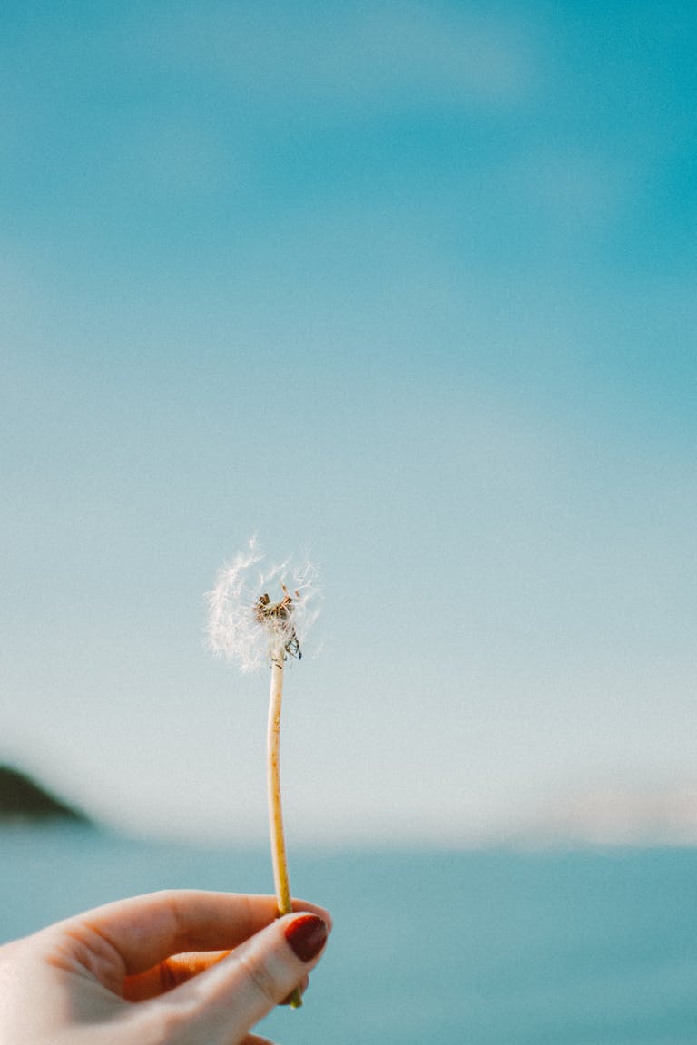 let go of dream of having a family