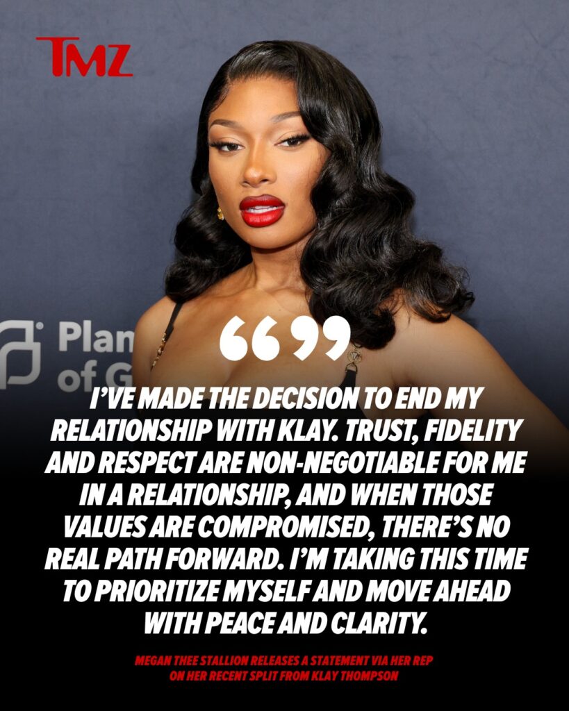 megan thee stallion cheater